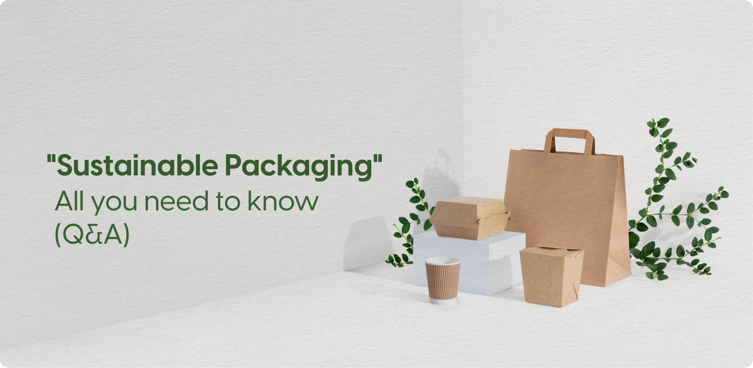 Sustainable Packaging All you need to know (Q&A)